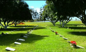 Coroas de Flores Cemitério e Crematório Jardim Metropolitano Valparaíso de Goiás – GO
